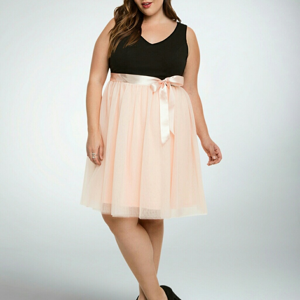 Tulle Skirt Skater Dress